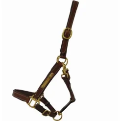 Licol en cuir avec plaque T de T