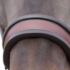 Licol en cuir Comfort Flags&Cup