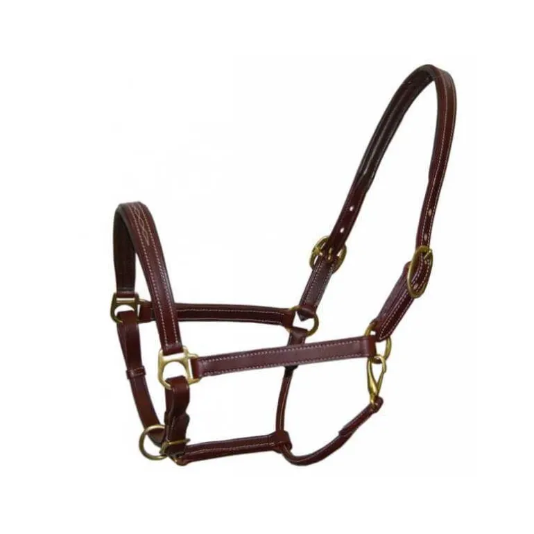 Licol en cuir Fashion Stationata