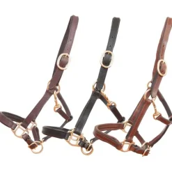 Licol en cuir Foal ou mini T de T