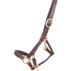 Licol en cuir Foal ou mini T de T