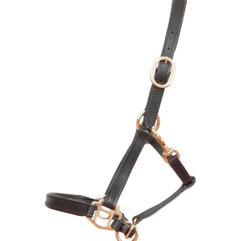 Licol en cuir Foal ou mini T de T