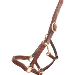 Licol en cuir Foal ou mini T de T