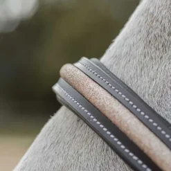 Licol en cuir Mylord Canter