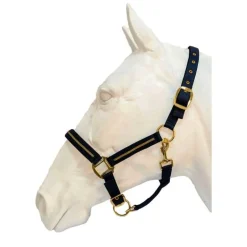 Licol et Longe Nossa Flags&Cup