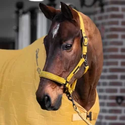 Licol Faux Leather Eskadron