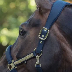 Licol Faux Leather Heritage Eskadron