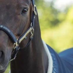 Licol Faux Leather Heritage Eskadron