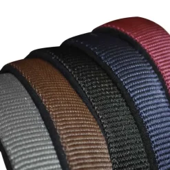 Licol nylon doublé Canter