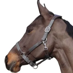 Licol nylon et cuir Flags&Cup