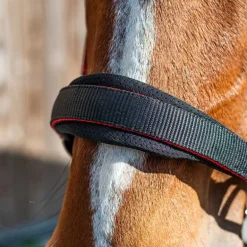 Licol nylon et mesh Stationata