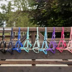 Licol nylon glissière Q-Essentials