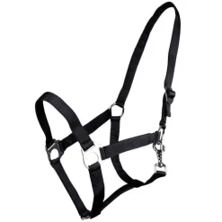 Licol nylon glissière Q-Essentials