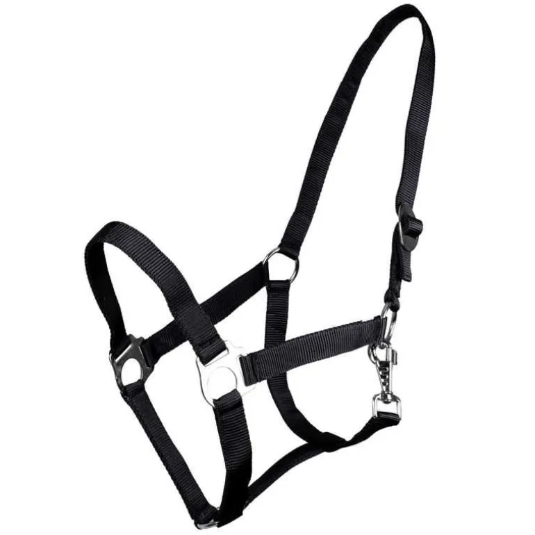 Licol nylon glissière Q-Essentials