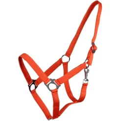 Licol nylon glissière Q-Essentials