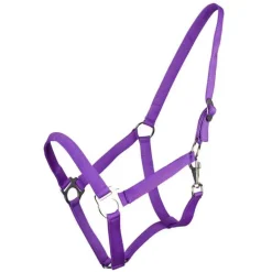 Licol nylon glissière Q-Essentials