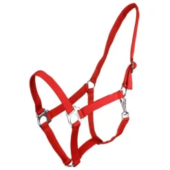 Licol nylon glissière Q-Essentials