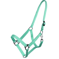 Licol nylon glissière Q-Essentials