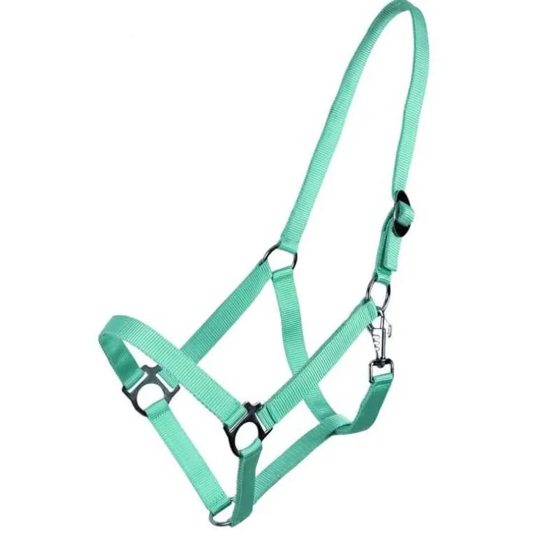 Licol nylon glissière Q-Essentials