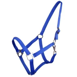 Licol nylon glissière Q-Essentials