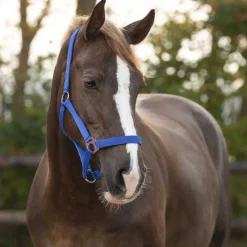 Licol nylon glissière Q-Essentials