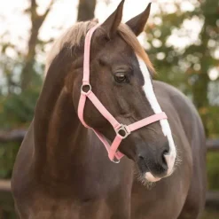 Licol nylon glissière Q-Essentials