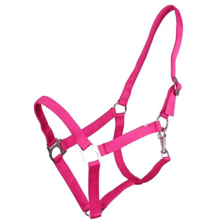 Licol nylon glissière Q-Essentials