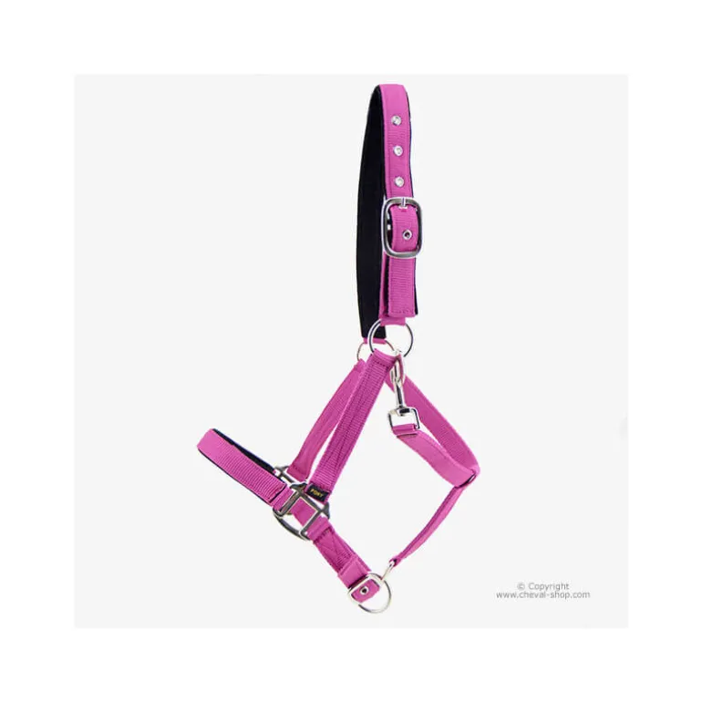 Licol nylon Horse & Go