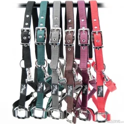 Licol nylon renforcé Stationata