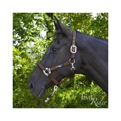 Licol nylon renforcé Stationata