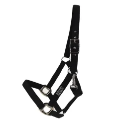 Licol nylon renforcé Stationata