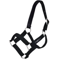 Licol nylon robuste QHP