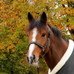 Licol nylon Special Stationata