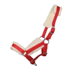 Licol poulain avec fourrure Q-essentials