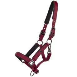 Licol poulain Deluxe QHP