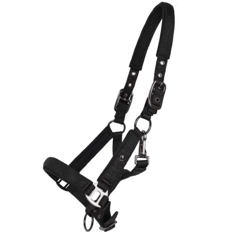 Licol poulain Deluxe QHP