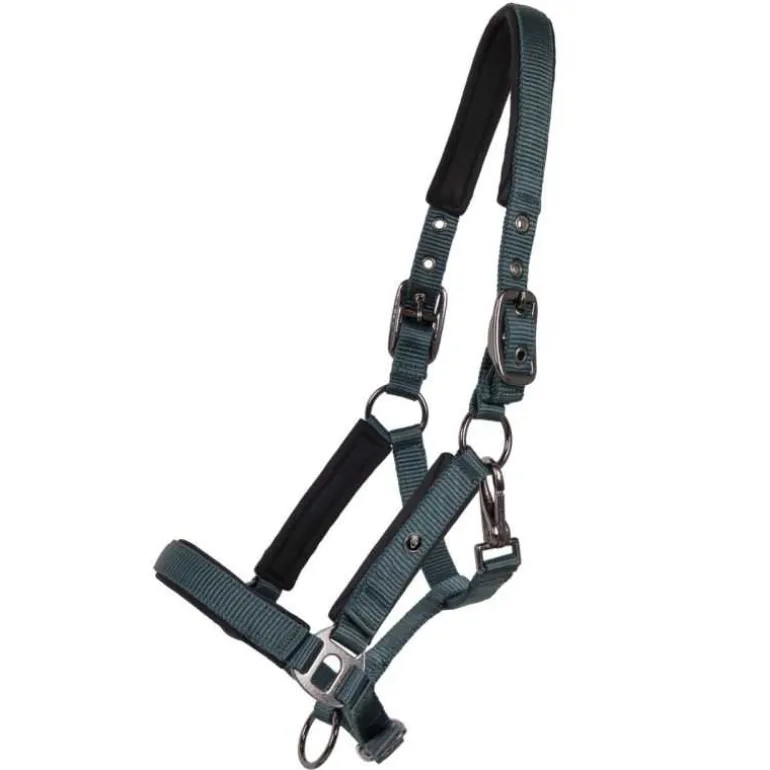 Licol poulain Deluxe QHP