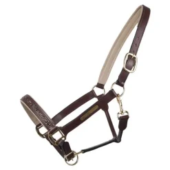 Licol poulain en cuir Lupine QHP