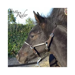 Licol poulain en cuir Stationata