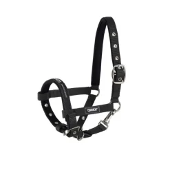 Licol poulain Performance Eskadron