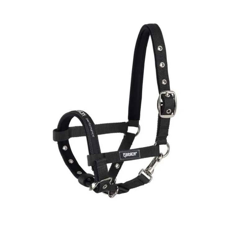 Licol poulain Performance Eskadron