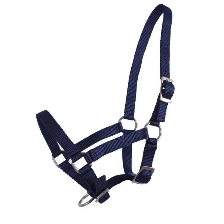 Licol poulain Q-Essentials