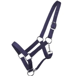 Licol poulain Yearling QHP