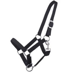 Licol poulain Yearling QHP