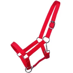 Licol poulain Yearling QHP