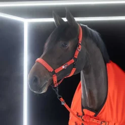 Licol Sparkle double pin Dynamic Eskadron