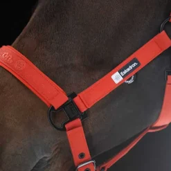 Licol Sparkle double pin Dynamic Eskadron