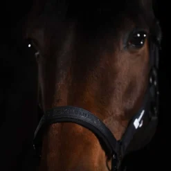 Licol Sparkle double pin Dynamic Eskadron