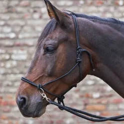 Licol éthologique avec rênes