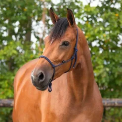 Licol éthologique basic QHP